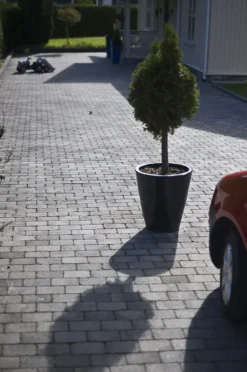 Aaltvedt Rådhus belegningsstein 1/1 gråmix