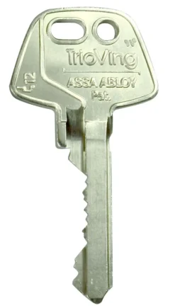 Nøkkelemne d12
