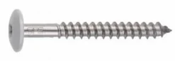Skrue rfr tw-s-d12/t20-4,8x44 blank
