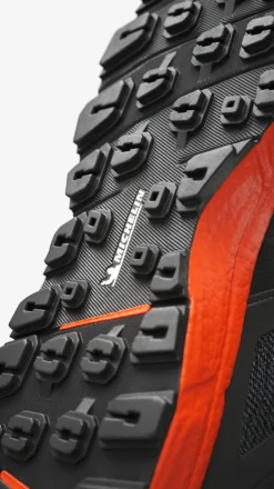 Vernesko høy GTX str 36